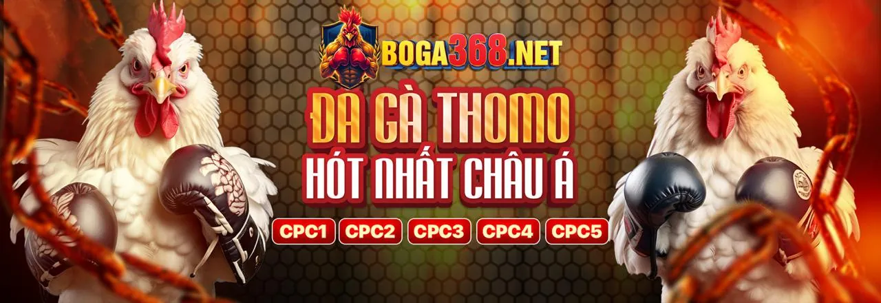 Hình ảnh tổng hợp các trò chơi và khuyến mãi tại fiv88 chính thức